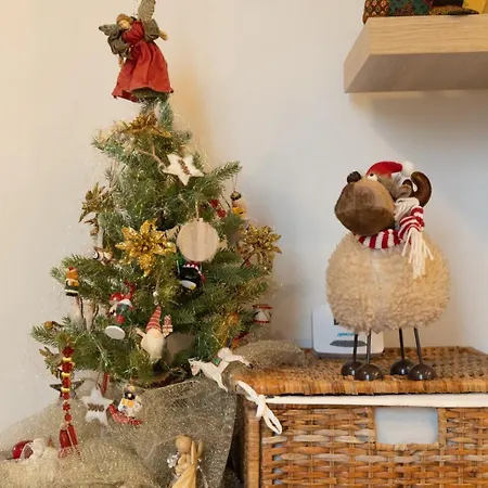 Sweet Cozy Ultracentral Craiova