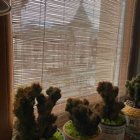 Sweet Cozy Ultracentral Apartman Craiova