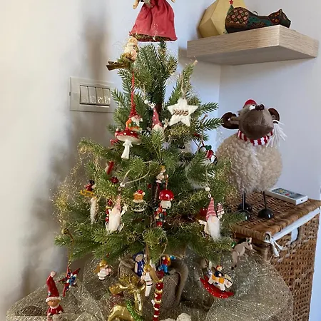 Sweet Cozy Ultracentral Craiova