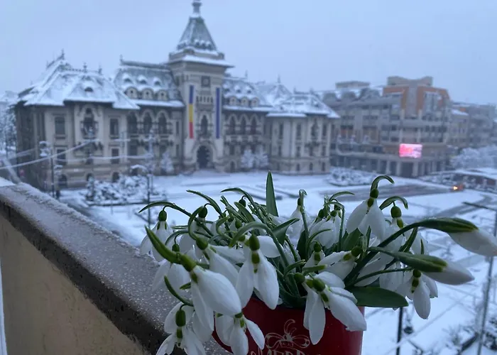 아파트 Sweet Cozy Ultracentral 크라이오바