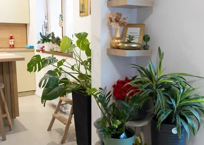 Sweet Cozy Ultracentral 아파트 크라이오바