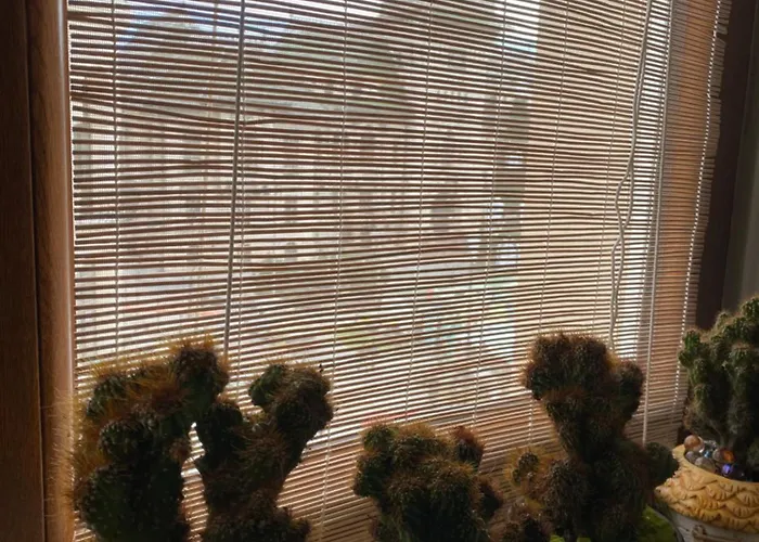 Sweet Cozy Ultracentral 아파트 크라이오바